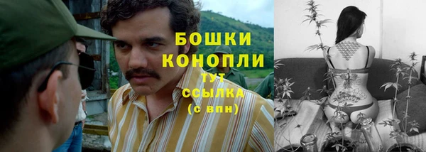 гашик Нея