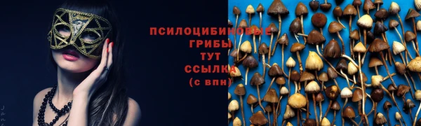 мяу мяу мука Наволоки