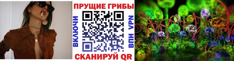 нарко площадка телеграм  мега ССЫЛКА  Лихославль  цена наркотик  Псилоцибиновые грибы ЛСД 